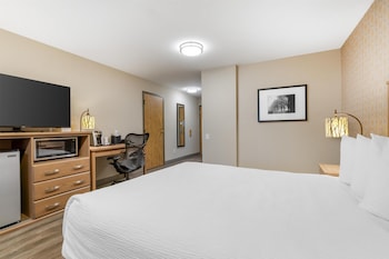 Standard Room, 1 Queen Bed, Accessible, Refrigerator & Microwave (Walk-in Shower;with Sofabed)