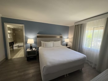Suite, 1 King Bed, Non Smoking (Living Room;Larger Room; Sofabed)