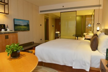 E500 King Bed Room