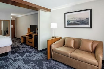 Suite, 1 King Bed with Sofa bed