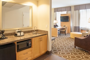 Studio Suite, 1 King Bed with Sofa bed, Accessible (Roll-in Shower)