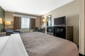 Standard Room, 1 King Bed, Non Smoking