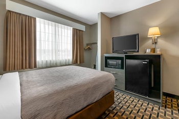 Room, 1 Queen Bed with Sofa bed, Accessible