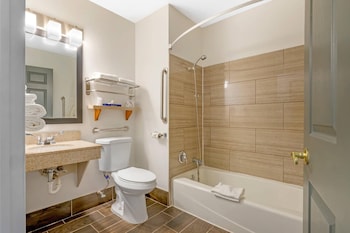 Room, 1 Queen Bed with Sofa bed, Accessible