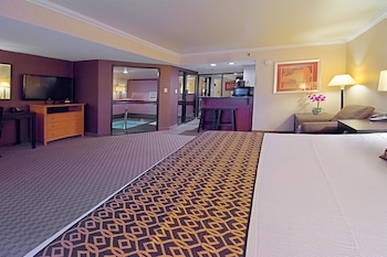 Suite, 1 King Bed, Non Smoking