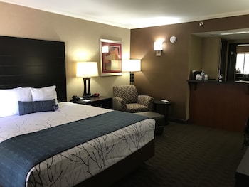 Standard Room, 1 King Bed, Non Smoking, Microwave