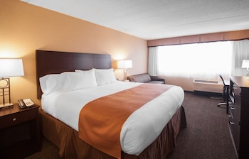 Room, 1 King Bed with Sofa bed, Non Smoking