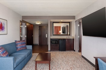 Suite, 1 King Bed