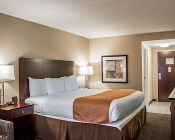 Standard Room, 1 King Bed with Sofa bed, Accessible, Non Smoking