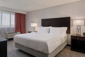 Suite, 1 King Bed