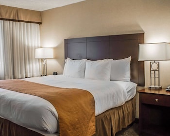 Suite, 1 King Bed with Sofa bed, Non Smoking (Efficiency, Upgrade)