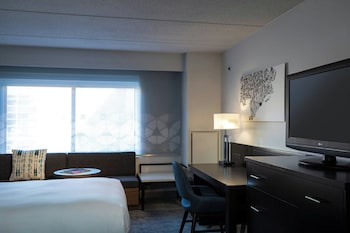 Room, 1 King Bed