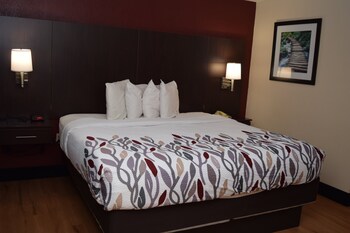 Superior Room, 1 King Bed, Non Smoking