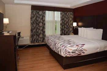 Superior Room, 1 King Bed, Non Smoking