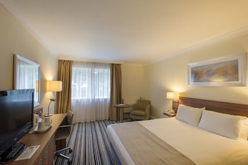 Premium Room, 1 Double Bed