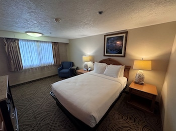 Economy Room, 1 Queen Bed