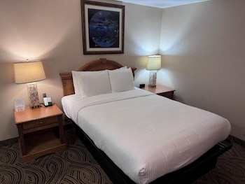 Economy Room, 1 Queen Bed