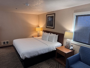 Room, 1 King Bed