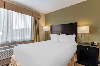 Standard Room, 1 King Bed