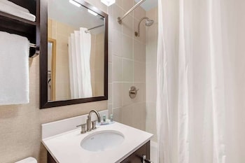 Suite, 1 King Bed with Sofa bed