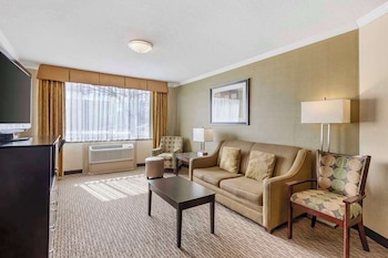 Suite, 1 King Bed with Sofa bed