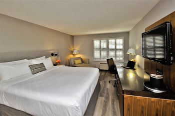Standard Room, 1 King Bed, Accessible (Roll-In Shower)