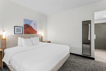 Room, 1 King Bed
