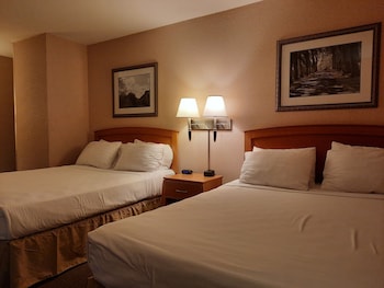 Room (Pet Friendly)