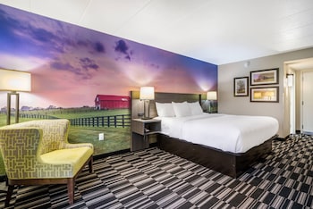 Standard Room, 1 King Bed, Non Smoking