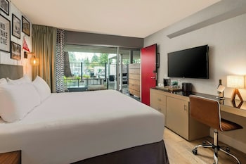 1 King Bed