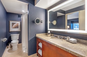 One Bedroom Suite with King Bed & Sofa Bed