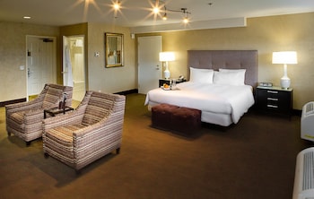 Suite, 1 King Bed, Pet-Friendly
