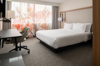 Room, 1 King Bed