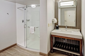 Suite, 1 King Bed with Sofa bed