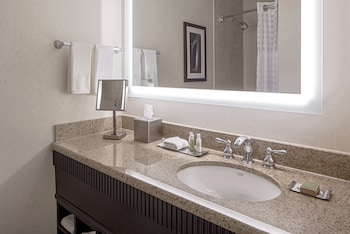 King, Suite, Accessible, Bathtub