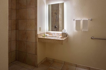 Suite, 1 King Bed, Accessible, Non Smoking (Roll-In Shower)
