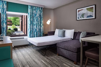 Suite, 1 Bedroom