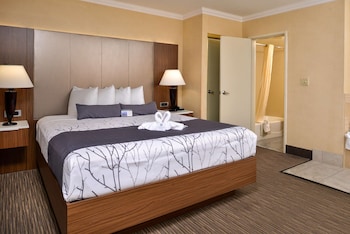 Standard Room, 1 King Bed, Non Smoking, Jetted Tub (Lower Level)
