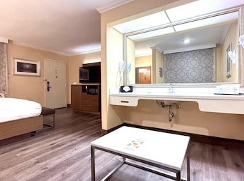 Standard Room, 1 King Bed, Non Smoking (with Sofabed)