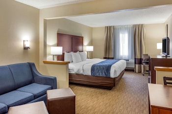 Suite, 1 King Bed with Sofa bed, Non Smoking