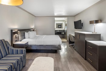 Standard Room, 1 King Bed, Non Smoking, Refrigerator & Microwave (with Sofabed)