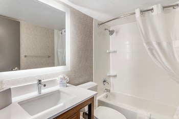 Suite, 1 King Bed