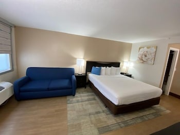 Standard Room, 1 King Bed with Sofa bed, Non Smoking, Refrigerator & Microwave