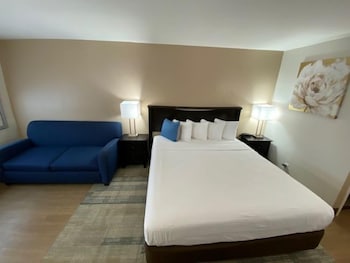 Standard Room, 1 King Bed with Sofa bed, Non Smoking, Refrigerator & Microwave