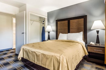 Room, 1 King Bed, Accessible, Non Smoking