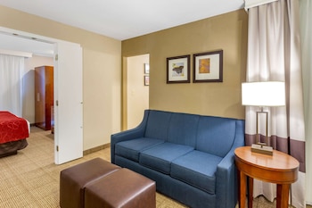 Suite, 1 King Bed with Sofa bed, Accessible, Non Smoking