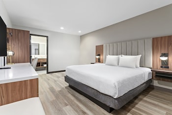 Room, 1 King Bed