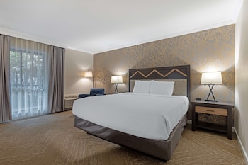 Standard Room, 1 King Bed, Refrigerator & Microwave, Ground Floor (Walk-in Shower)