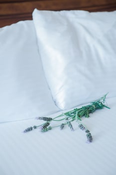 Deluxe Room, 1 King Bed