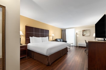 Standard Room, 1 King Bed with Sofa bed